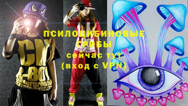 скорость Алзамай