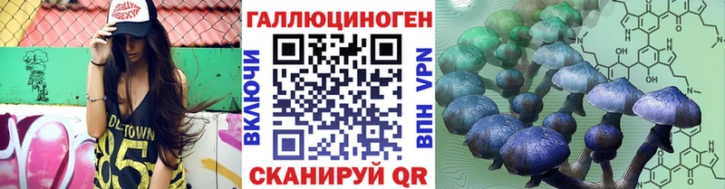 Псилоцибиновые грибы GOLDEN TEACHER  наркошоп  OMG как зайти  Тверь 