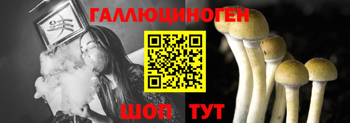 Псилоцибиновые грибы Magic Shrooms Тверь