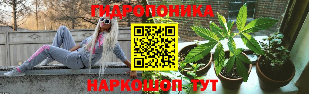 Шишки марихуана LSD WEED  Марихуана сатива  Вход с VPN  Тверь 